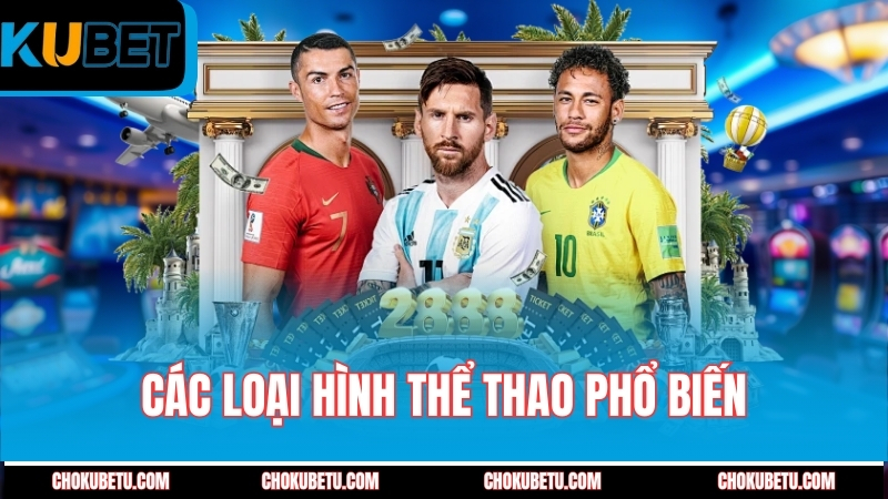 cac-loai-hinh-the-thao-pho-bien-