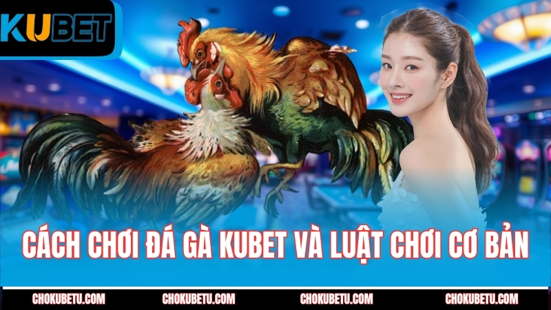 cach-choi-da-ga-kubet-va-luat-choi-co-ban