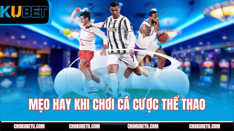 meo-hay-khi-choi-ca-cuoc-the-thao-